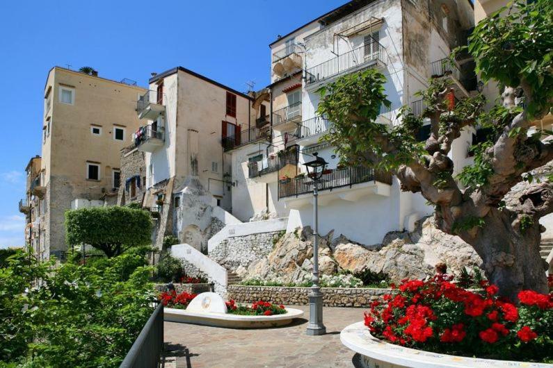 Casa Susy Bouganville 400 Mt Dal Mare Sperlonga Dış mekan fotoğraf