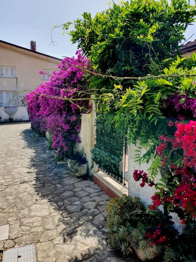 Casa Susy Bouganville 400 Mt Dal Mare Sperlonga Dış mekan fotoğraf